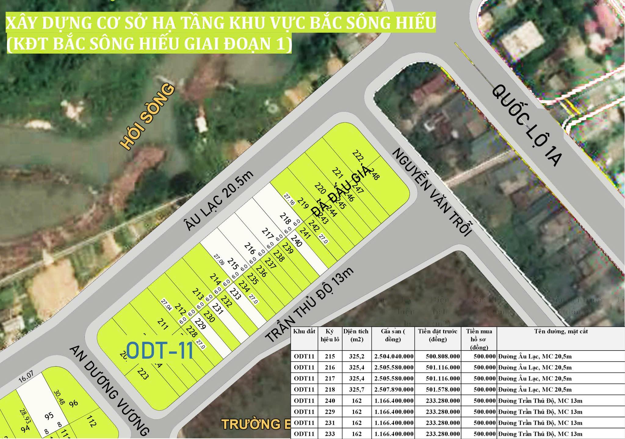 Thông báo đấu giá quyền sử dụng đất ngày 31/8/2024